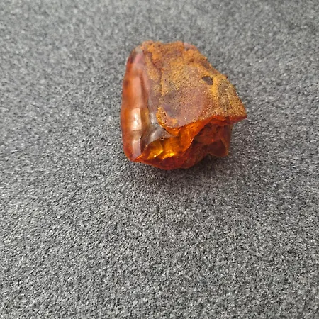 Apartment Diuna Krynica Morska