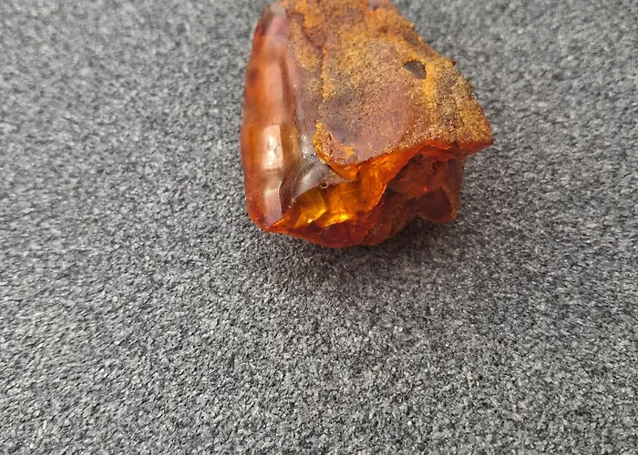 Apartment Diuna Krynica Morska